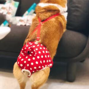 Adjustable Dog Diapers – Sanitary Puppy Panties
