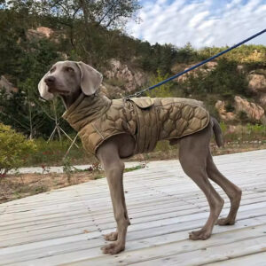 Winter Dog Coat – Windproof Reflective Vest with Harness