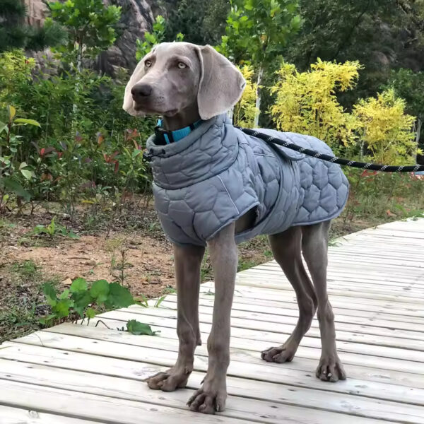 Winter Dog Coat – Windproof Reflective Vest with Harness - Image 2