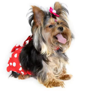 Bow Tie Dog Collar & Leash Set – Cotton with Rose Gold Buckle